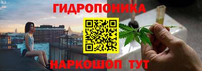 кокс Аша
